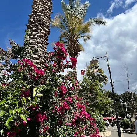 Your Place For Relax