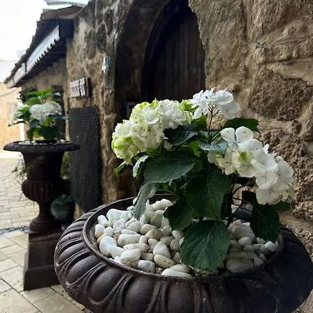 דירה Your Place For Relax *