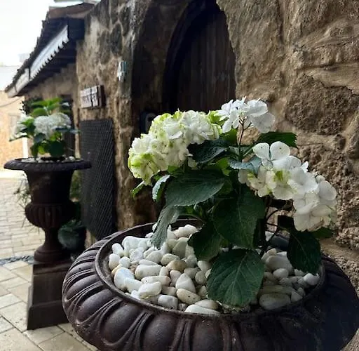 Daire Your Place For Relax *